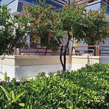 Katerina's House Apartment *